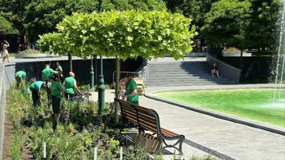Клумба безперервного цвітіння, сад Шевченка Харків
