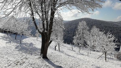 Якою буде погода на Закарпатті з 12 до 14 січня