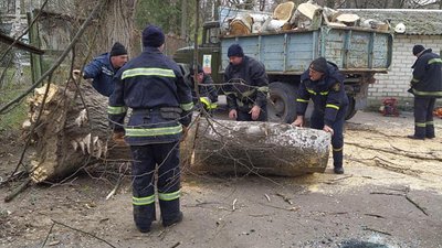 Лікарня імені Лучанського у Херсоні лишилась без опалення через обвал дерева (ФОТО) Лікарня імені Лучанського у Херсоні лишилась без опалення через обвал дерева (ФОТО)