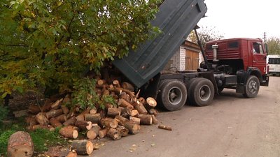 На Житомирщині в рамках благодійного проєкту п'ять сімей з дітьми з інвалідністю забезпечили дровами На Житомирщині в рамках благодійного проєкту п'ять сімей з дітьми з інвалідністю забезпечили дровами