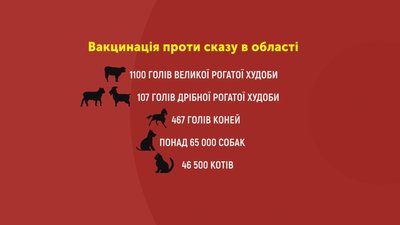 У районі на Волині, де виявили сказ, вакцинують тварин У районі на Волині, де виявили сказ, вакцинують тварин