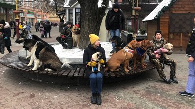 В Івано-Франківську відбувся перший різдвяний парад собак В Івано-Франківську відбувся перший різдвяний парад собак