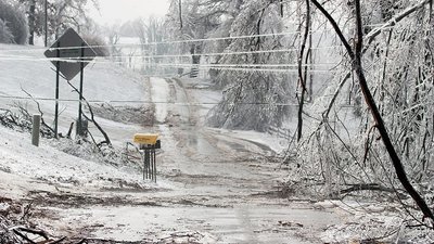 На Чернігівщині крижаний дощ залишив без світла 172 населених пунктів