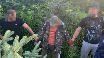 Посадовця лісогосподарства на Тернопільщині затримали на хабарі Посадовця лісогосподарства на Тернопільщині затримали на хабарі