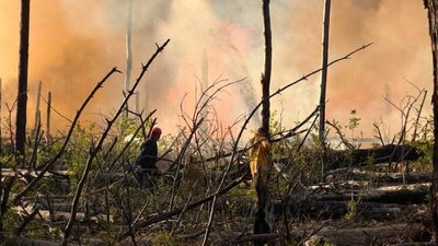 Пожежа в Чорнобильській зоні
