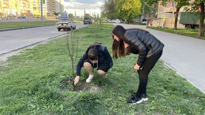 сакури харків сакури харків