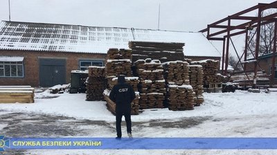 На Харківщині у незаконній вирубці підозрюють 11 лісників