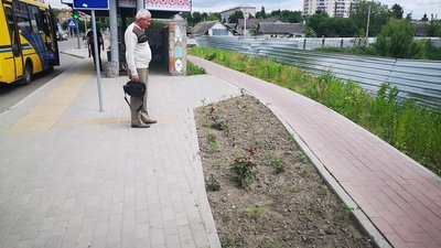 Майже 25%: влада міста на Рівненщині підрахувала кількість вкрадених кущів і дерев