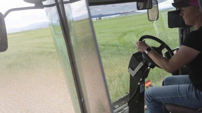 “Як би воно було по-нормальному, то продала б”. Переваги та недоліки відкриття ринку землі в Україні