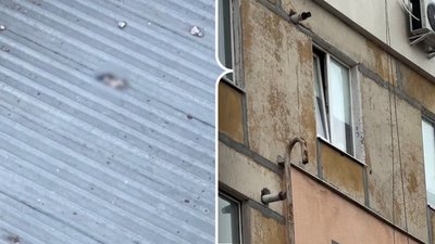 Кошеня викинули з вікна у Кропивницькому – поліція відкрила провадження – Суспільне