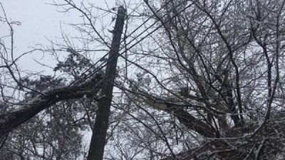 У Сумах впало дерево і заблокувало спуск до міського парку У Сумах впало дерево і заблокувало спуск до міського парку