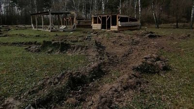 "Наробили багато шкоди" – наслідки пограбування росіянами птахоферми у селі Вільшана на Сумщині "Наробили багато шкоди" – наслідки пограбування росіянами птахоферми у селі Вільшана на Сумщині