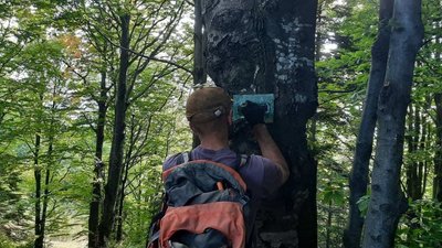 До Брустуруватої. На Франківщині промаркували новий гірський туристичний маршрут