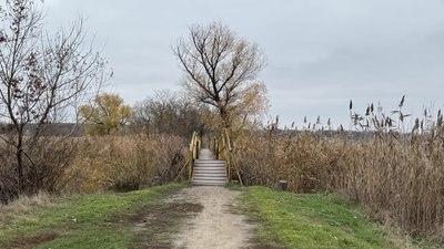 Сполучає два мікрорайони. У Кропивницькому руйнується пішохідний міст через річку