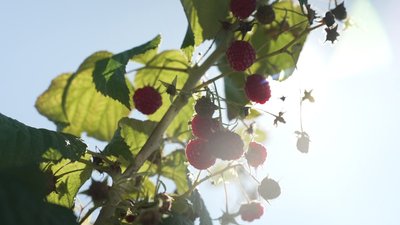 Прогноз погоди на 7 жовтня