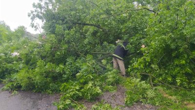 У Дніпрі продовжують ліквідувати наслідки негоди У Дніпрі продовжують ліквідувати наслідки негоди