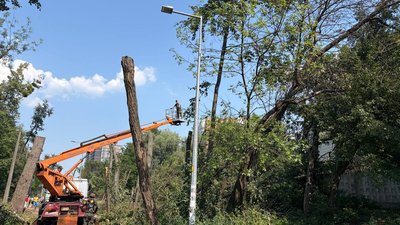 Вирубка дерев у парковій зоні на столичних Теремках