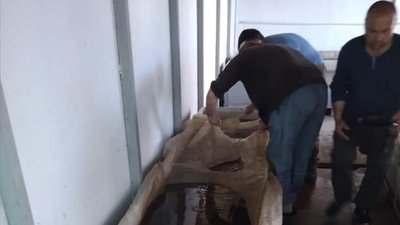 Більше 600 тисяч мальків судака випустили у Каховське водосховище