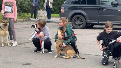 У Рівному відбувся благодійний забіг із собаками У Рівному відбувся благодійний забіг із собаками