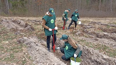 На Житомирщині прикордонники та школярі садили ліс На Житомирщині прикордонники та школярі садили ліс