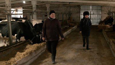 Скоротили поголів'я худоби: як війна вплинула на розвиток тваринництва на Сумщині Скоротили поголів'я худоби: як війна вплинула на розвиток тваринництва на Сумщині