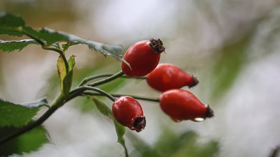 Синоптики прогнозують 11 вересня сильний вітер на Херсонщині