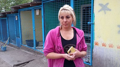 "Дерева повалені, вікна немає, собаки в паніці". Через удар по Дніпру пошкоджено притулок для тварин та приватні будинки "Дерева повалені, вікна немає, собаки в паніці". Через удар по Дніпру пошкоджено притулок для тварин та приватні будинки