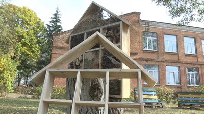 Семенівські школярі на уроках праці виготовляють готелі для комах та будиночки для кажанів