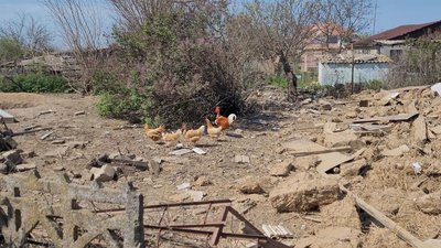 Б’ють по цивільних та нищать будинки: на Миколаївщині село потерпає від щоденних обстрілів Б’ють по цивільних та нищать будинки: на Миколаївщині село потерпає від щоденних обстрілів