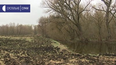 "Пришпандьоримо корів біля сільради" - селяни на Сумщині просять повернути єдине пасовище "Пришпандьоримо корів біля сільради" - селяни на Сумщині просять повернути єдине пасовище