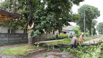 Повалені дерева, підтоплені та знеструмлені вулиці: Прилуками пронісся буревій Повалені дерева, підтоплені та знеструмлені вулиці: Прилуками пронісся буревій