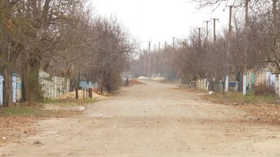 Пташиний грип. На Миколаївщині знищили майже тисячу крилатих Пташиний грип. На Миколаївщині знищили майже тисячу крилатих