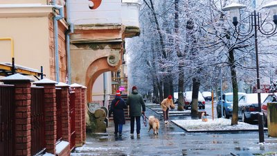 Сніг, Франківськ, зима