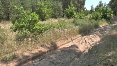 Надзвичайний рівень пожежної небезпеки на Полтавщині буде щонайменше до 27 червня – ДСНС Надзвичайний рівень пожежної небезпеки на Полтавщині буде щонайменше до 27 червня – ДСНС