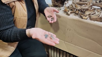 На городі виявили поховання скіфських часів: артефакти з Тернопільщини відправили до Києва На городі виявили поховання скіфських часів: артефакти з Тернопільщини відправили до Києва