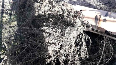 Дільничні поліцейські Херсонщини вилучили у жителя Скадовського району понад кілограм наркотиків Дільничні поліцейські Херсонщини вилучили у жителя Скадовського району понад кілограм наркотиків