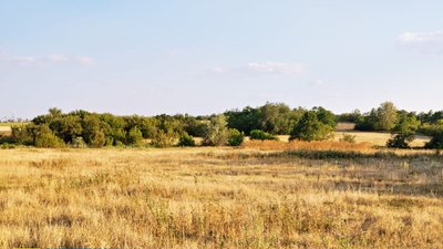 заповідник, кримінал, Дніпро
