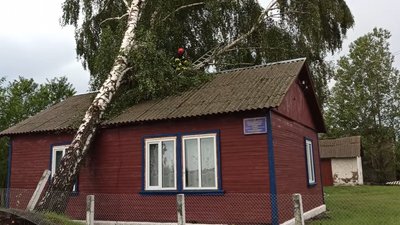 Зламані дерева та пошкоджені дахи: наслідки негоди на Рівненщині