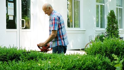 Екзотичні рослини та плодові дерева вирощують у школі на Вінниччині Екзотичні рослини та плодові дерева вирощують у школі на Вінниччині