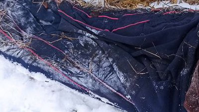 На Житомирщині знайшли тіло людини: поліція встановлює особу померлого На Житомирщині знайшли тіло людини: поліція встановлює особу померлого