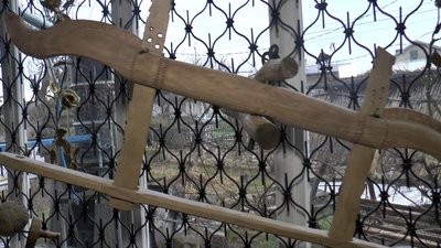 "Людям тут цікаво, і діти мають заняття". Прикарпатець створив домашній музей старожитностей "Людям тут цікаво, і діти мають заняття". Прикарпатець створив домашній музей старожитностей