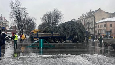 Головна ялинка Львова: що про неї відомо