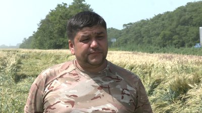 У Запорізькій області через погодні умови може знизитися врожайність зернових У Запорізькій області через погодні умови може знизитися врожайність зернових