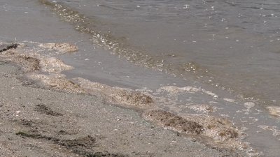 Миколаївців застерігають від купання в річках Миколаївців застерігають від купання в річках