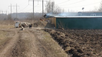 Франківський "Дім Сірка" потребує мільйон гривень для переїзду у новий притулок Франківський "Дім Сірка" потребує мільйон гривень для переїзду у новий притулок