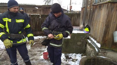 На Житомирщині чоловік впав у криницю: його тіло дістали рятувальники На Житомирщині чоловік впав у криницю: його тіло дістали рятувальники