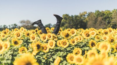 Хюґе по-українськи. Що таке щастя і де нам його знайти Хюґе по-українськи. Що таке щастя і де нам його знайти