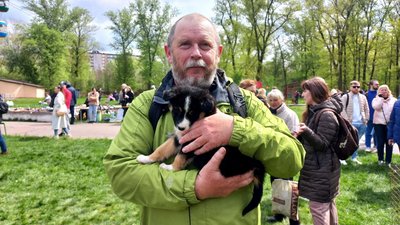 У Сумах відбувся фестиваль "Друг із притулку" У Сумах відбувся фестиваль "Друг із притулку"