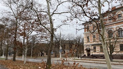 Попередження про туман: якою буде погода на Херсонщині 20 грудня