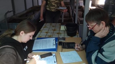 Більше 600 тисяч мальків судака випустили у Каховське водосховище